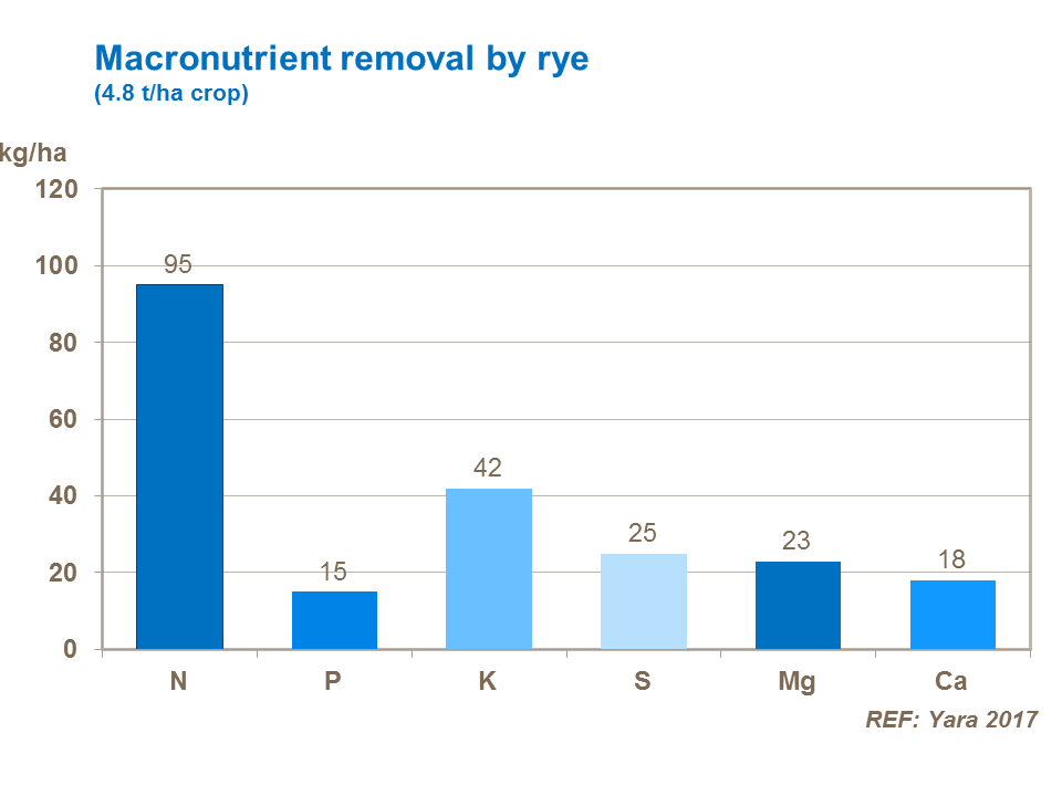 Macronutrient removal by rye