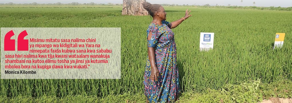 africaconnect
